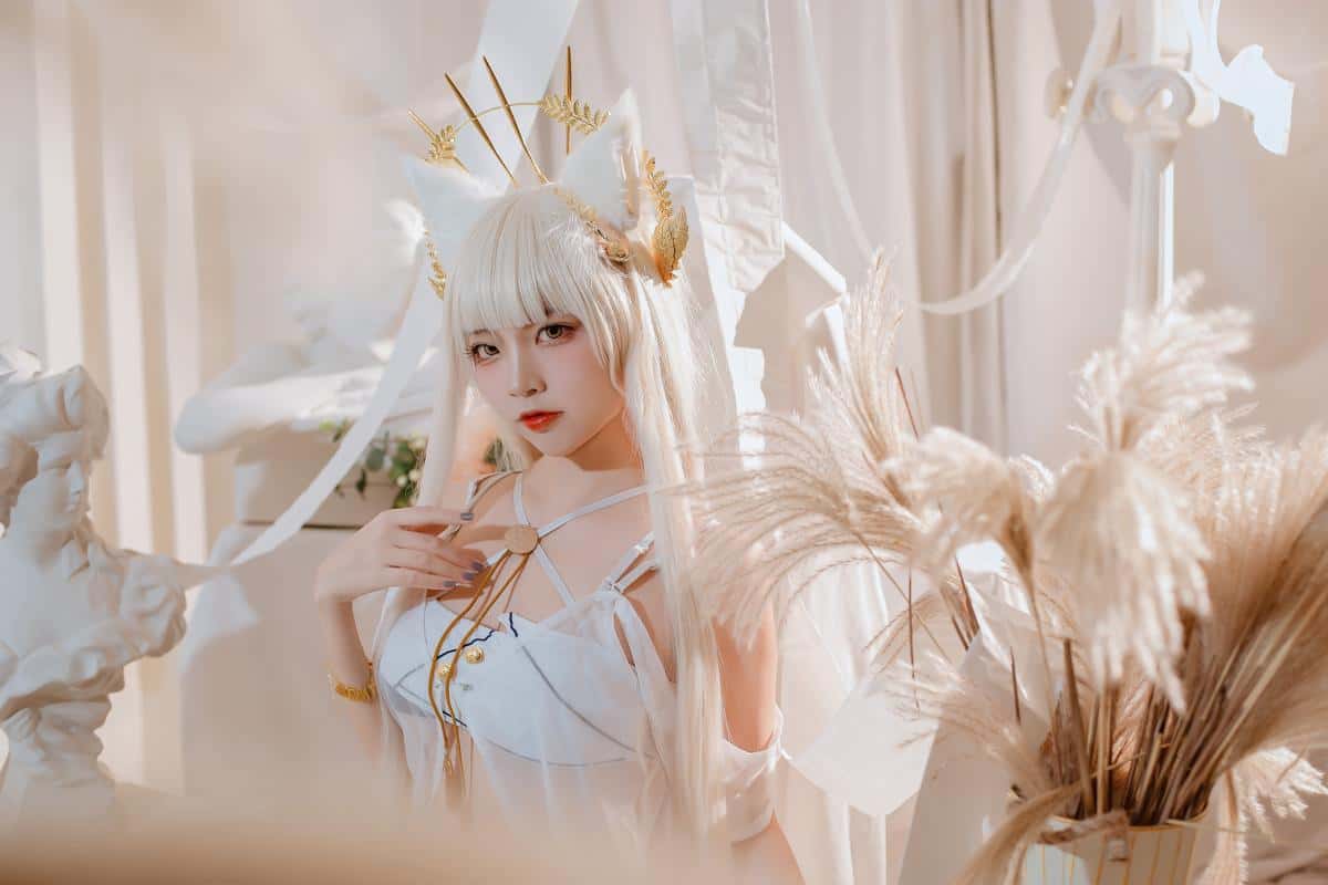 二佐Nisa