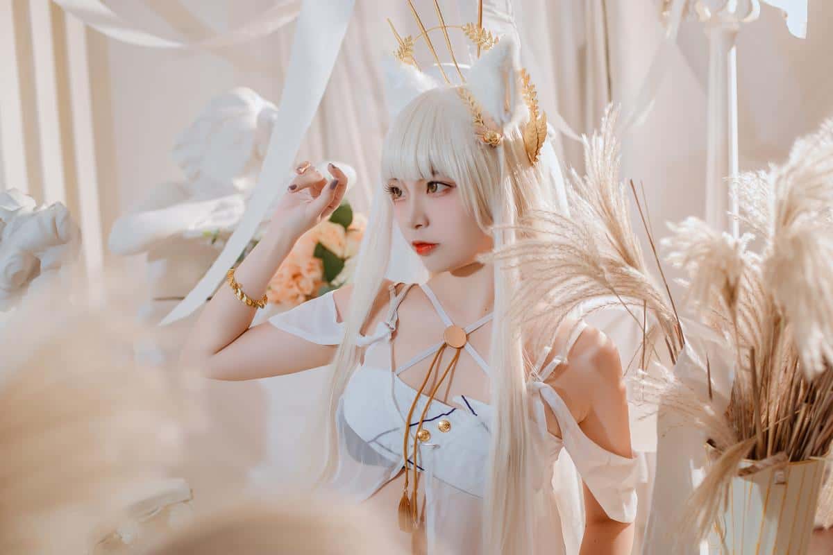 二佐Nisa