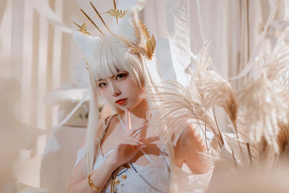 二佐Nisa